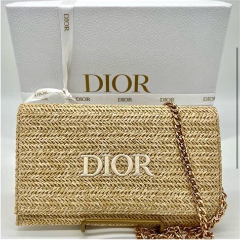 dior solar pochette|christian dior pouch bag.